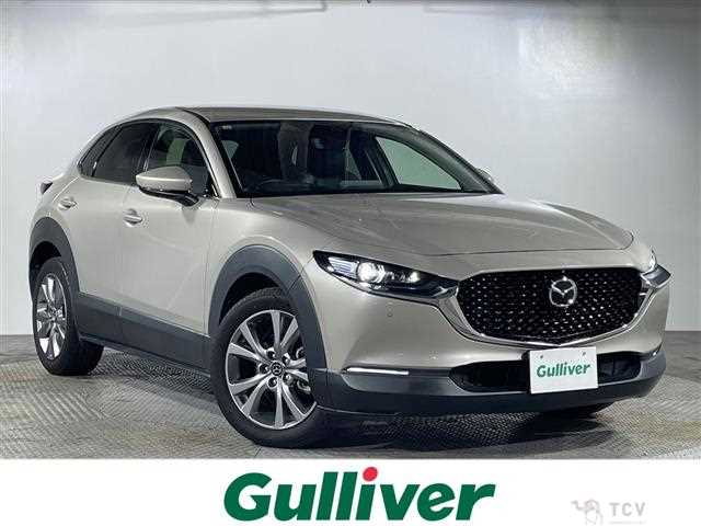 2021 Mazda CX-3
