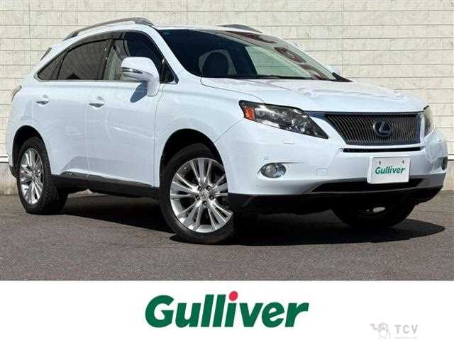2009 Lexus RX