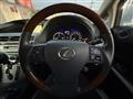 2009 Lexus RX