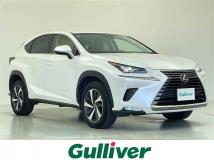 2018 Lexus NX