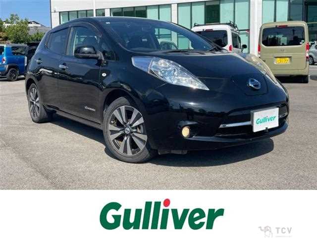2013 Nissan Leaf