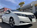2018 Nissan Leaf