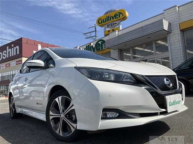 2018 Nissan Leaf