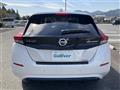 2018 Nissan Leaf