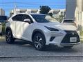 2018 Lexus NX