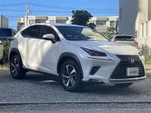 2018 Lexus NX