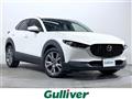 2019 Mazda CX-3