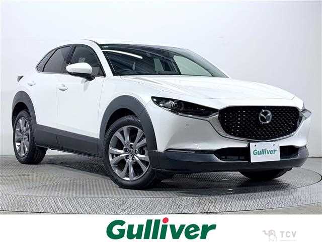 2019 Mazda CX-3
