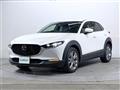 2019 Mazda CX-3