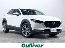 2019 Mazda CX-3