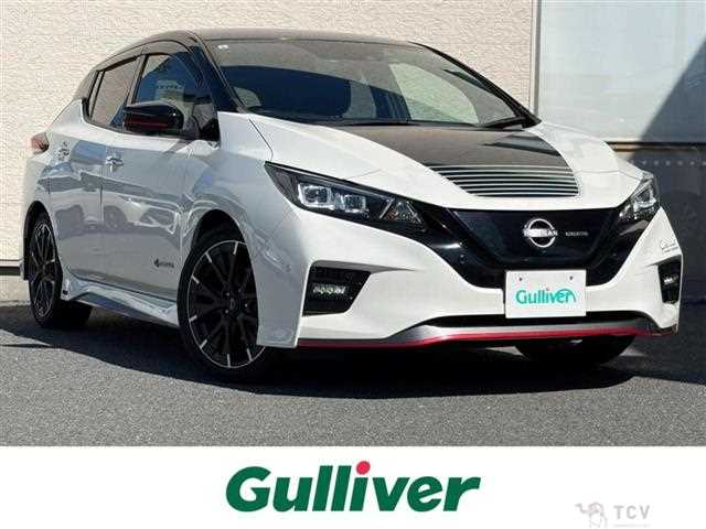 2021 Nissan Leaf