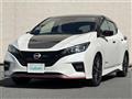2021 Nissan Leaf
