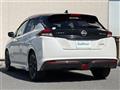 2021 Nissan Leaf