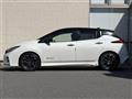 2021 Nissan Leaf