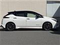 2021 Nissan Leaf