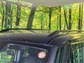 2025 Mitsubishi DELICA MINI