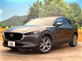 2020 Mazda Mazda Others