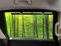 2026 Honda Freed