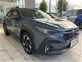 2025 Subaru Subaru Others