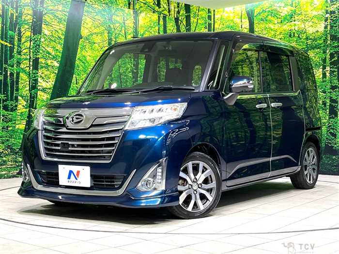 2017 Daihatsu Daihatsu Others
