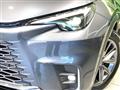 2024 Lexus Other
