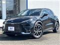 2025 Lexus Other