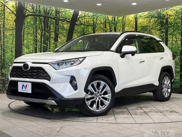 2020 Toyota RAV4