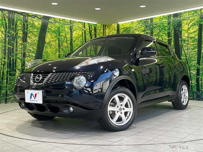 2013 Nissan Juke