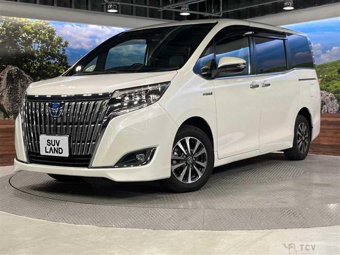 2018 Toyota Esquire