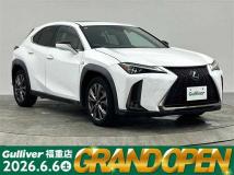 2019 Lexus UX