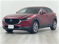 2019 Mazda CX-3