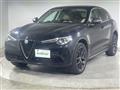 2019 Alfa Romeo Alfa Romeo Others