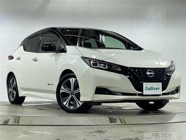 2022 Nissan Leaf