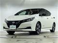 2022 Nissan Leaf