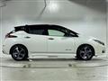 2022 Nissan Leaf
