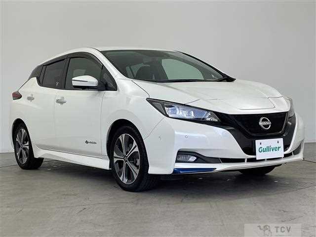 2021 Nissan Leaf