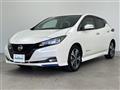 2021 Nissan Leaf