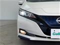 2021 Nissan Leaf