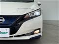 2021 Nissan Leaf