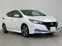 2021 Nissan Leaf