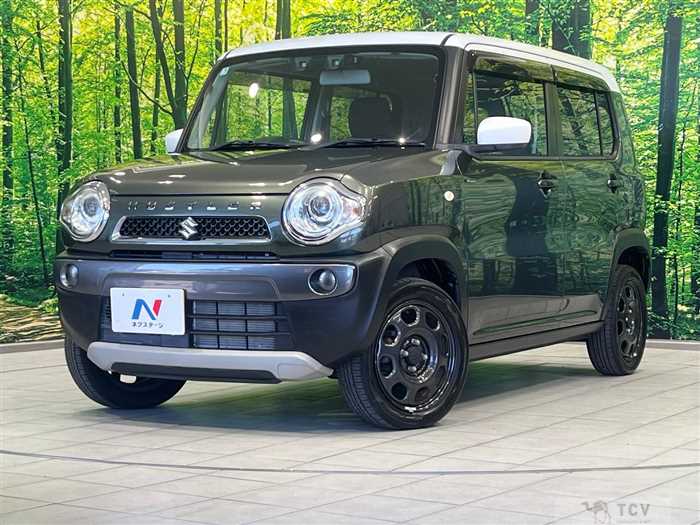 2017 Suzuki Hustler