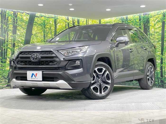 2019 Toyota RAV4