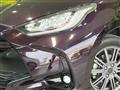 2020 Toyota Toyota Others