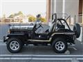 1995 Mitsubishi Jeep
