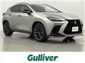 2021 Lexus NX
