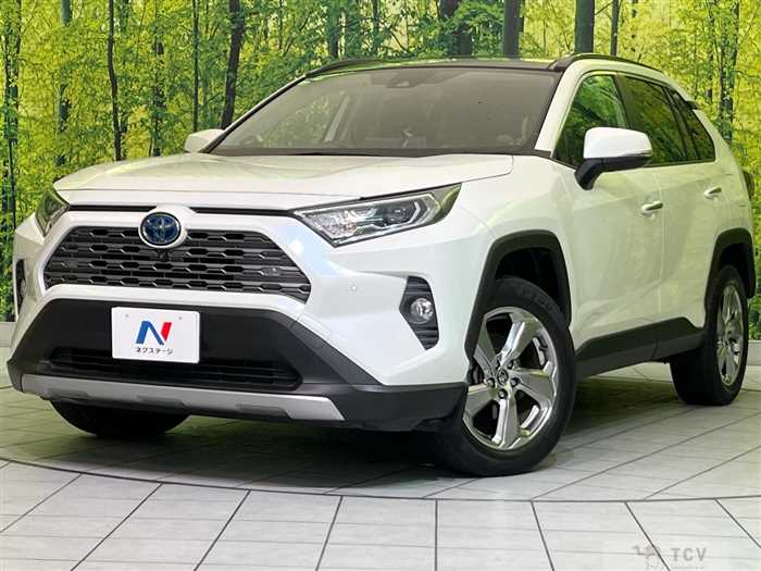 2020 Toyota RAV4
