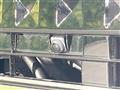 2026 Nissan ROOX