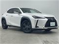 2019 Lexus UX