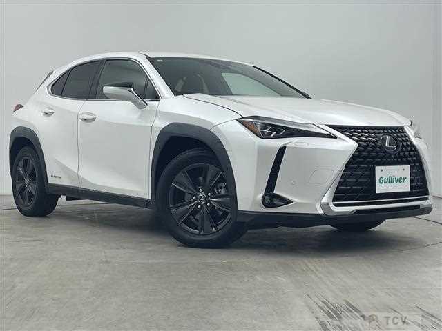 2019 Lexus UX