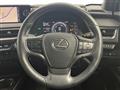 2019 Lexus UX